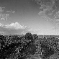 http://www.victorcornec.fr/files/gimgs/th-5_cavaux10.png