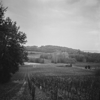http://www.victorcornec.fr/files/gimgs/th-5_cavaux3.png