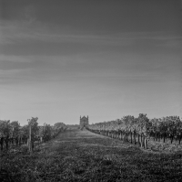 http://www.victorcornec.fr/files/gimgs/th-5_cavaux4.png