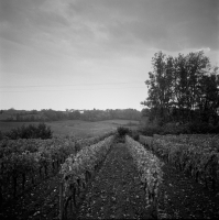 http://www.victorcornec.fr/files/gimgs/th-5_cavaux6.png